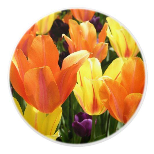 Tulp Keramische knop (Voorkant)