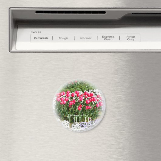 Tulp Magneet (Insitu (Vaatwasser))