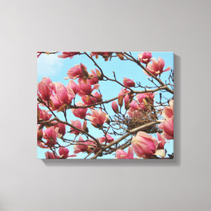Tulp Magnolia boom met Birdsnest op Canvas Afdruk
