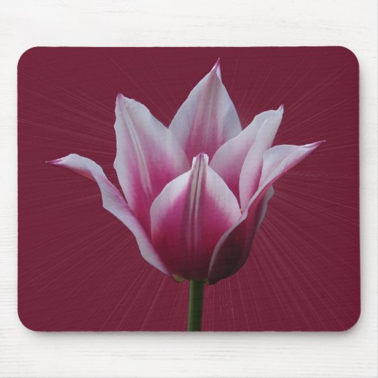 Tulp met zonnestraal ~ mousepad muismat (Voorkant)