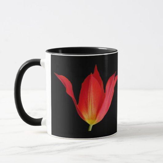 Tulp-Mok Mok (Links)