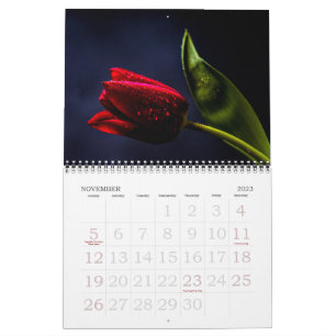 Tulp Mooie Rozen Holland Flowers 2025 Kalender