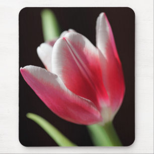 Tulp Muismat