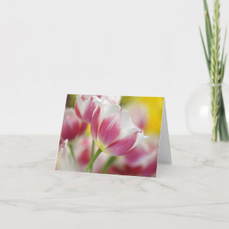Tulp Note-kaarten Bedankkaart