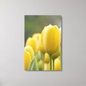 Tulp opstaan canvas afdruk (Voorkant)