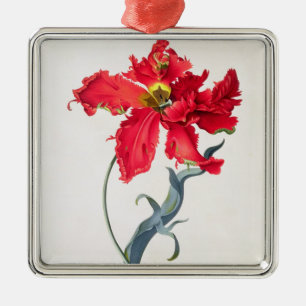 Tulp: Perroquet Rouge Metalen Ornament