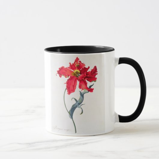 Tulp: Perroquet Rouge Mok (Rechts)