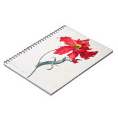 Tulp: Perroquet Rouge Notitieboek (Linkerzijde)