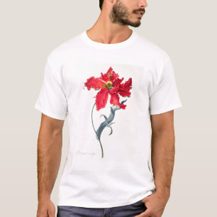 Tulp: Perroquet Rouge T-shirt