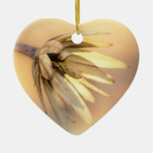 Tulp Poplar Empty Seed Pod Keramisch Ornament