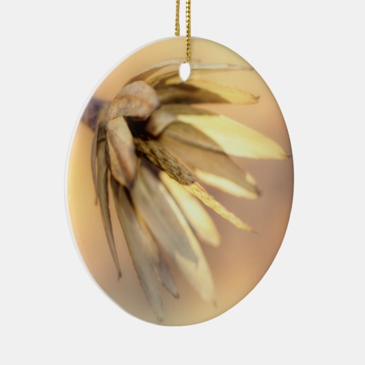 Tulp Poplar Empty Seed Pod Keramisch Ornament (Rechts)