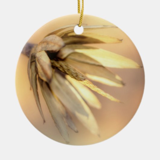 Tulp Poplar Empty Seed Pod Keramisch Ornament (Voorkant)