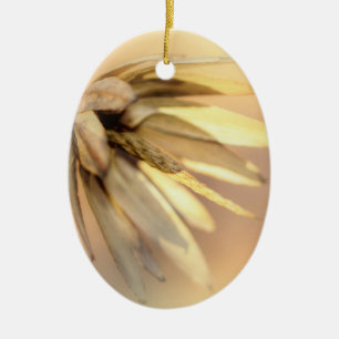 Tulp Poplar Empty Seed Pod Keramisch Ornament