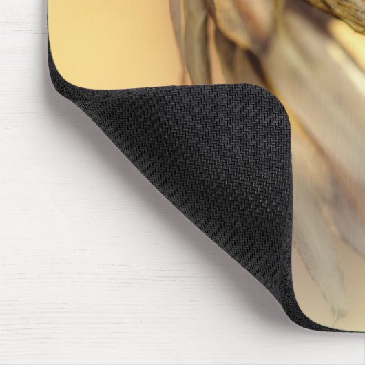 Tulp Poplar Empty Seed Pod Muismat (Hoek)