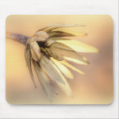 Tulp Poplar Empty Seed Pod Muismat (Voorkant)