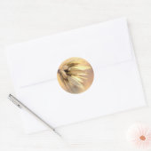 Tulp Poplar Empty Seed Pod Ronde Sticker (Envelop)