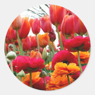 Tulp Poppy Dance Ronde Sticker