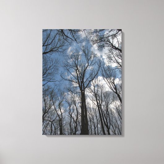  Tulp Populierbomen Bewolkte Blauwe Hemel Canvas Afdruk (Voorkant)