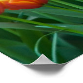 Tulp Poster (Hoek)