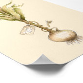 Tulp - Poster (Hoek)