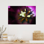 Tulp Poster (Keuken)