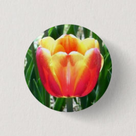 Tulp Ronde Button 3,2 Cm