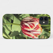 Tulp rood en wit Case-Mate iPhone case (Achterkant (horizontaal))