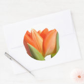 Tulp Stickers (Envelop)