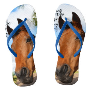 Tulp the Brown Bay Horse, Blue Teenslippers