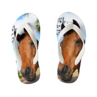 Tulp The Brown Bay Horse