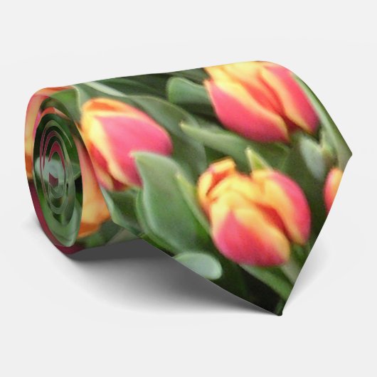 Tulp tijd stropdas (Opgerold)