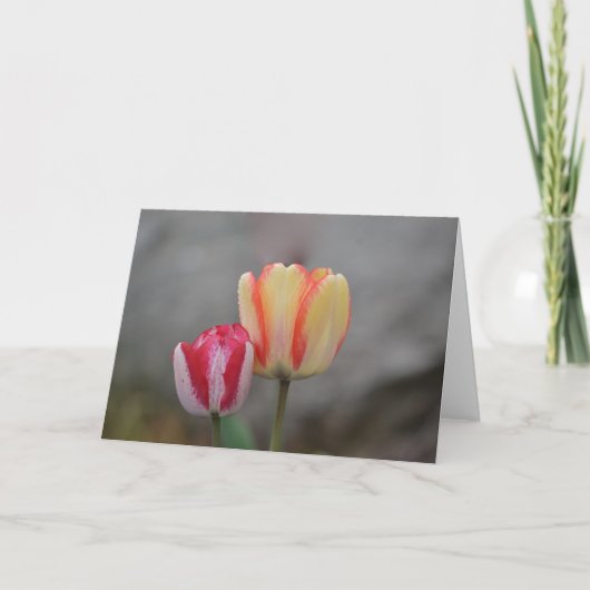 Tulp Time Note Kaart (Voorkant)