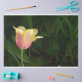 Tulp Tissuepapier (Craft)