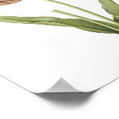 Tulp (Tulipa culta) van Redouté Poster (Hoek)