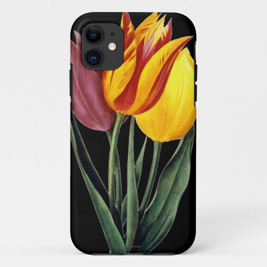 Tulp (Tulipa Gesneriana) Case-Mate iPhone Case (Achterkant)