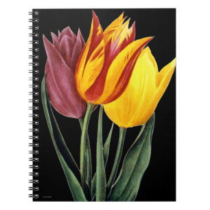 Tulp (Tulipa Gesneriana) Notitieboek