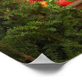 Tulp vensterafdruk poster (Hoek)