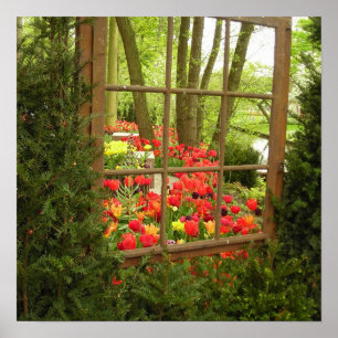 Tulp vensterafdruk poster