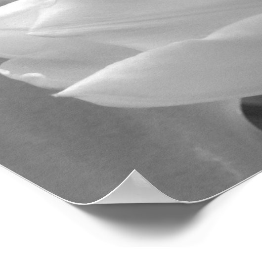 Tulp zwart-wit poster (Hoek)