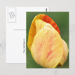 Tulpbladeren Bloemfotografie Gepersonaliseerd Briefkaart