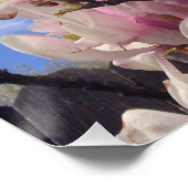 Tulpboombloemen Perfect Poster (Hoek)