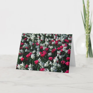 Tulpen 16 leeg Wenskaart Kaart