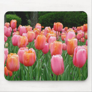 Tulpen #1 muismat