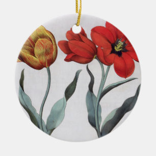 Tulpen: 1.Tulipa globosa serotina cinnabrio colore Keramisch Ornament
