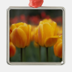 Tulpen 2 metalen ornament