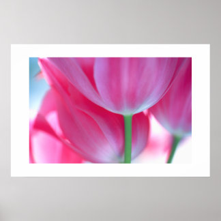 Tulpen #2-Poster Poster