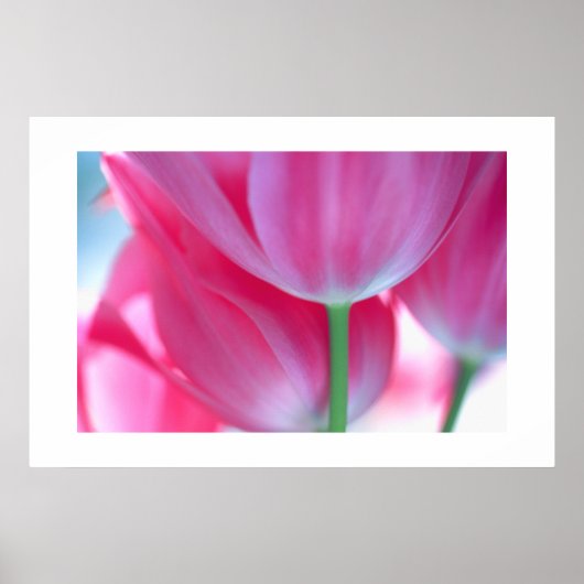Tulpen #2-Poster Poster (Voorkant)