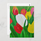 Tulpen 2a briefkaart (Voorkant / Achterkant)