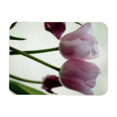 Tulpen 3259 magneet (Horizontaal)