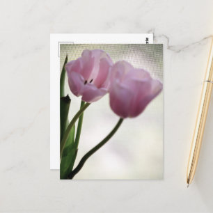 Tulpen 3265 briefkaart